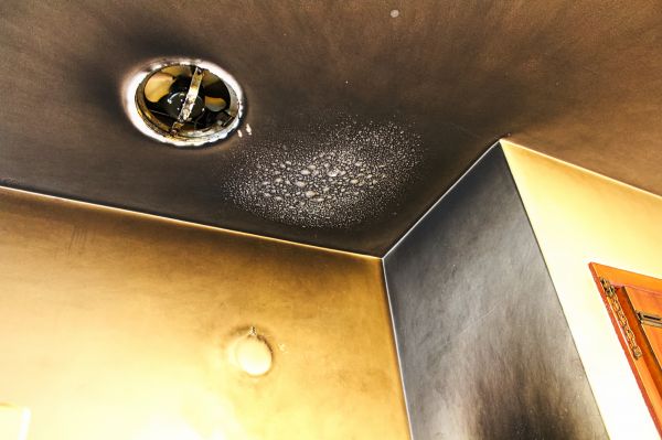 Cost of Smoke Damage Remediation in Niceville